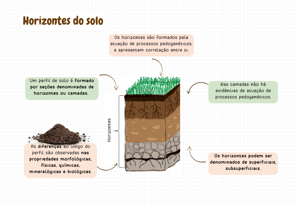 Horizonte do solo.pptx