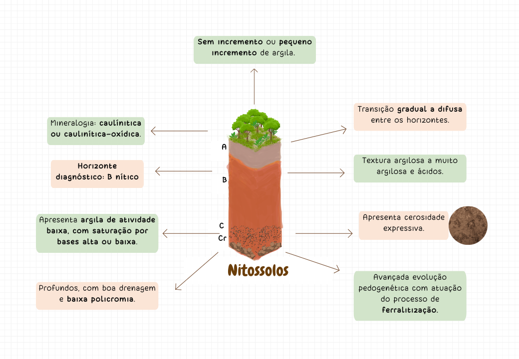 Processos pedogenéticos e classes de solos