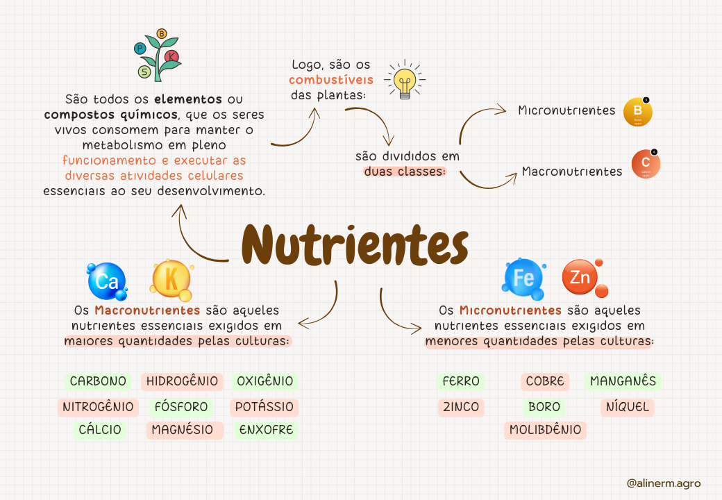 ELEMENTOS-ESSENCIAIS-DAS-PLANTAS (1)