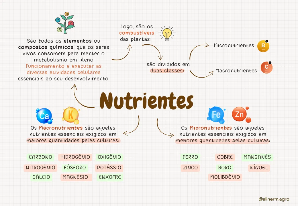 ELEMENTOS-ESSENCIAIS-DAS-PLANTAS (1)