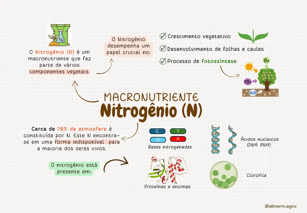 ELEMENTOS-ESSENCIAIS-DAS-PLANTAS (2)