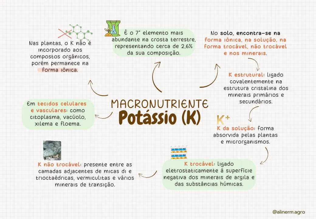 ELEMENTOS-ESSENCIAIS-DAS-PLANTAS (3)