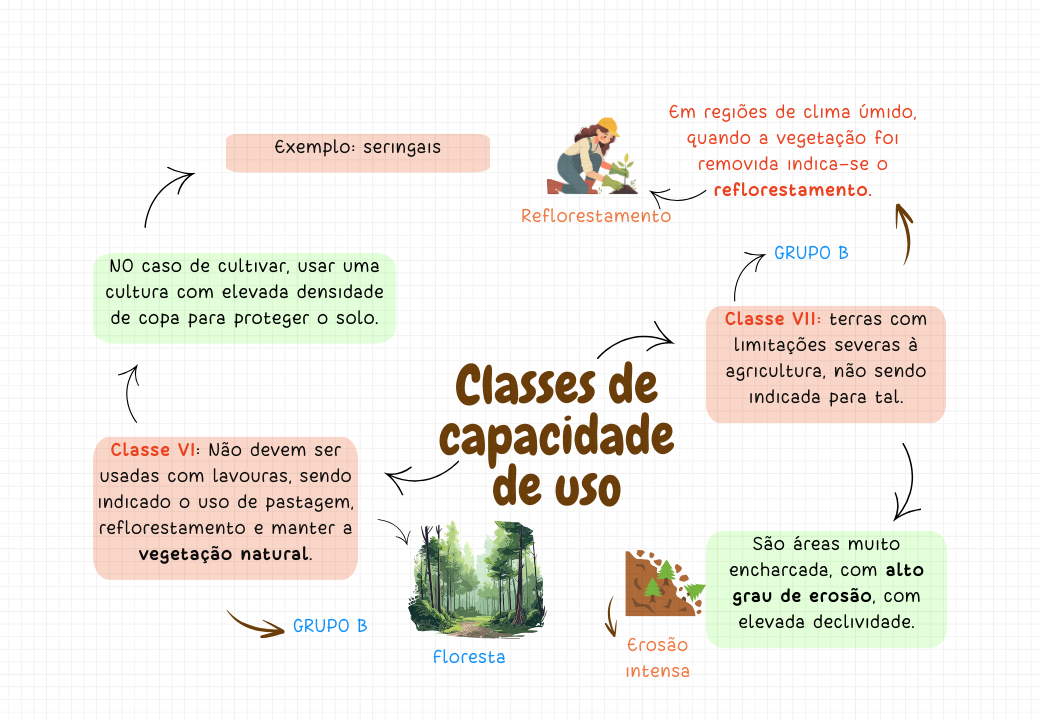 Fatores de formação do solo (6)