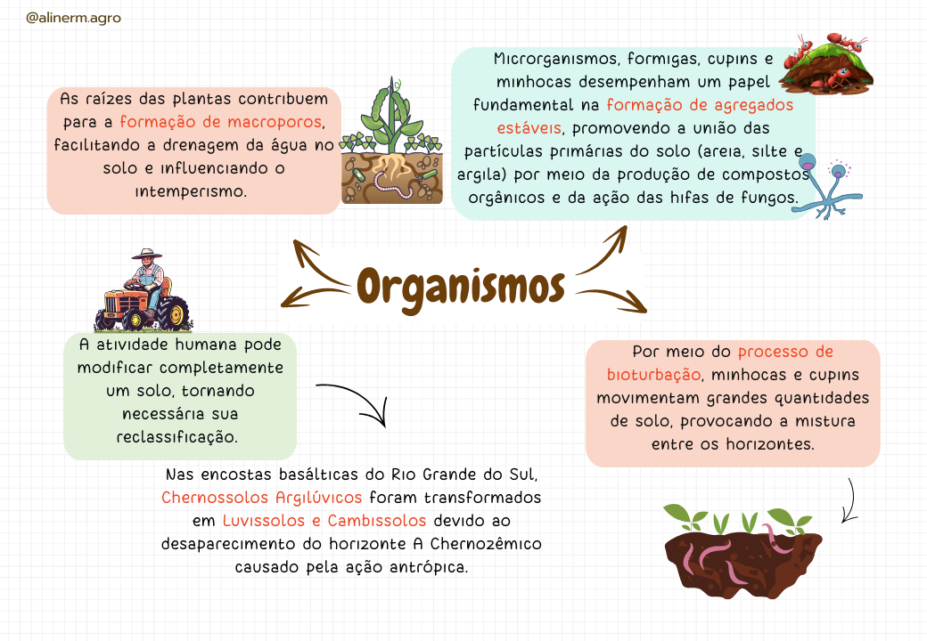 Fatores de formação do solo (7)