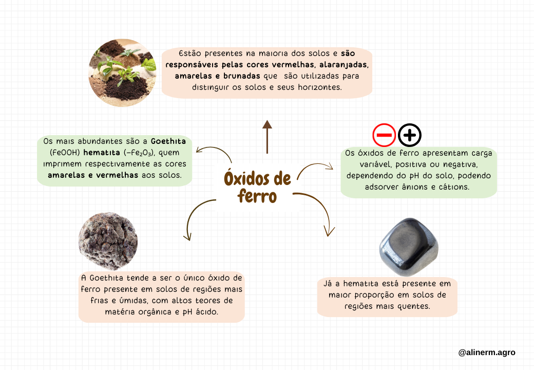 Filossilicatos - Aline Roma Tomaz (1)