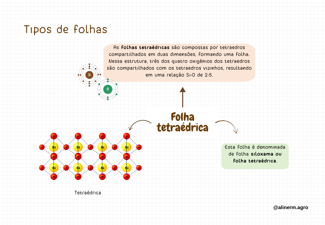 Filossilicatos - Aline Roma Tomaz (3)