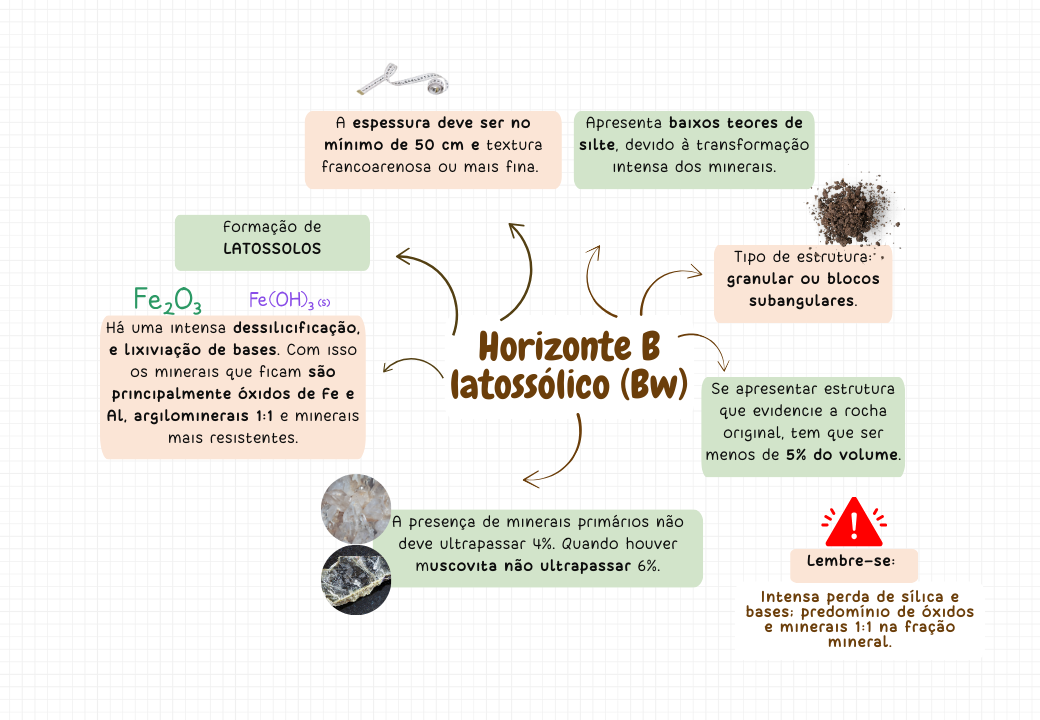 Horizonte do solo.pptx (1)