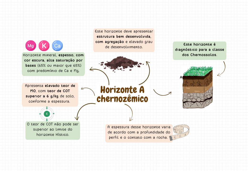 Horizonte do solo.pptx