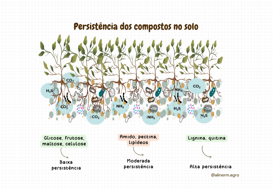 Macronutrientes no solo-1.pptx (2)