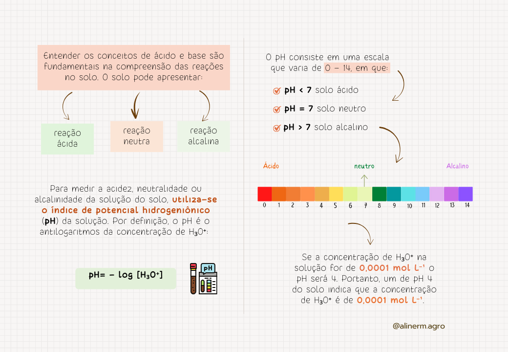 Macronutrientes no solo-1.pptx (2)