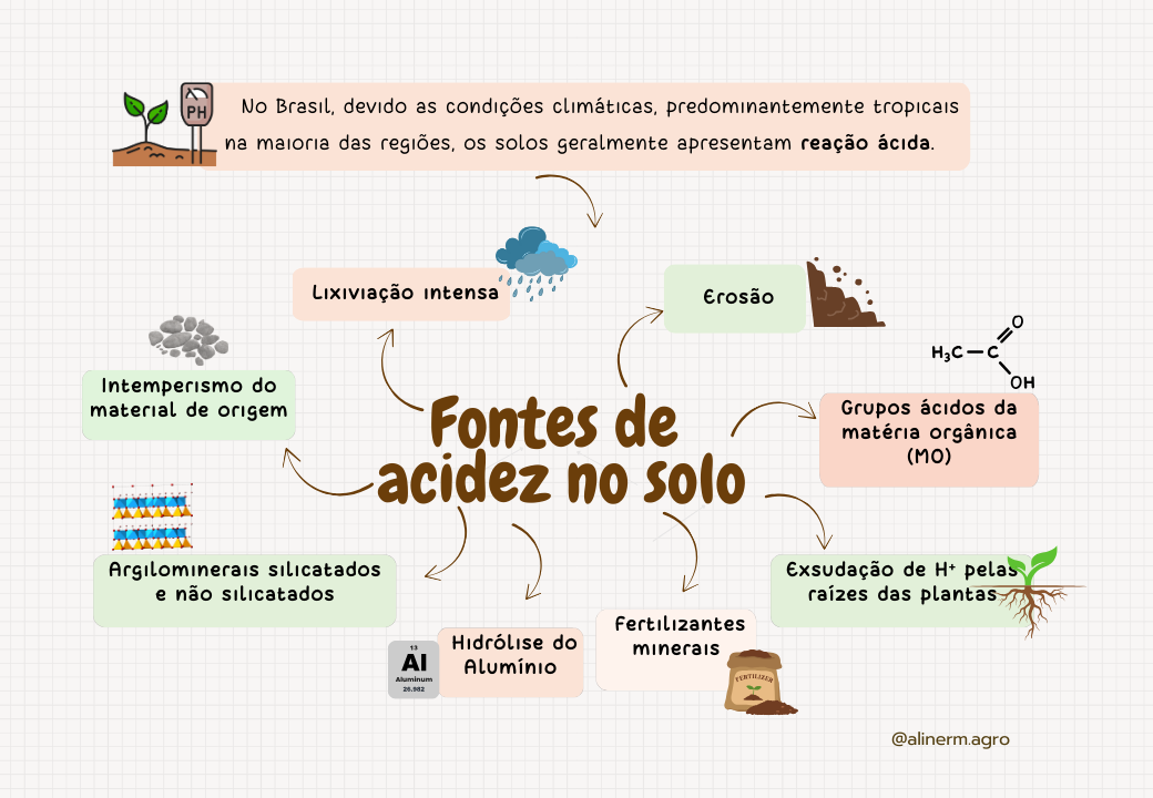 Macronutrientes no solo-1.pptx (3)