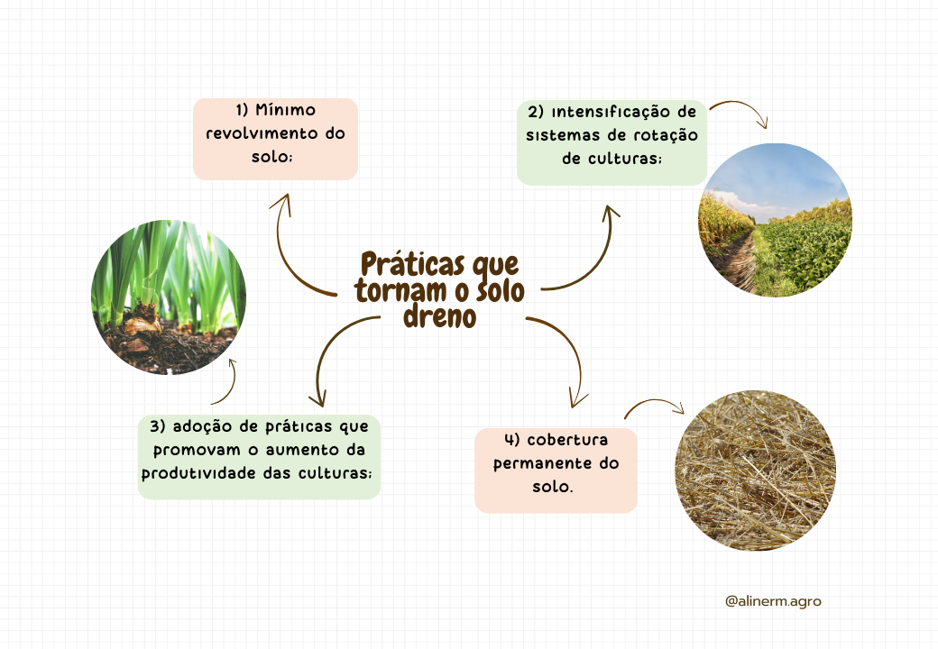 Macronutrientes no solo-1.pptx (3)