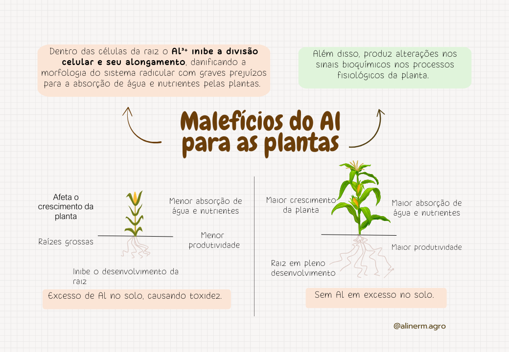 Macronutrientes no solo-1.pptx (4)