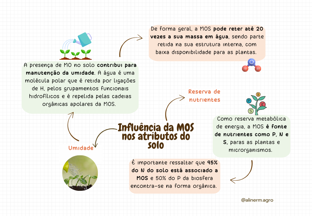 Macronutrientes no solo-1.pptx (5)
