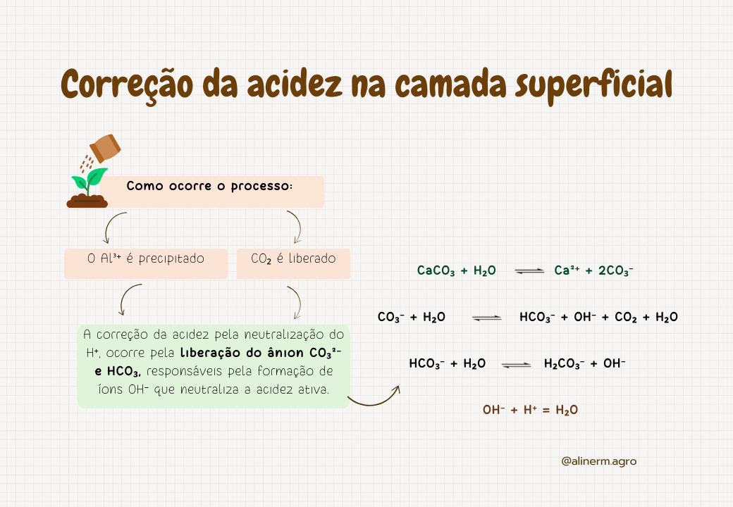 Macronutrientes no solo-1.pptx (5)