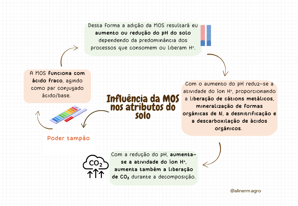 Macronutrientes no solo-1.pptx (6)
