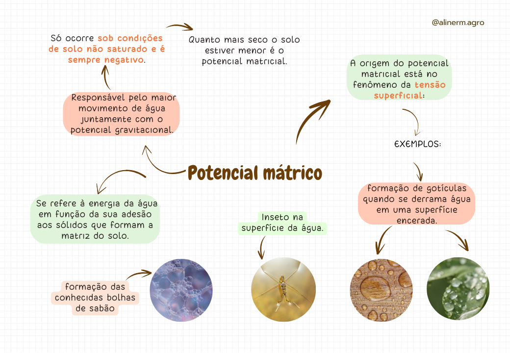 Potenciais de água no solo (5)