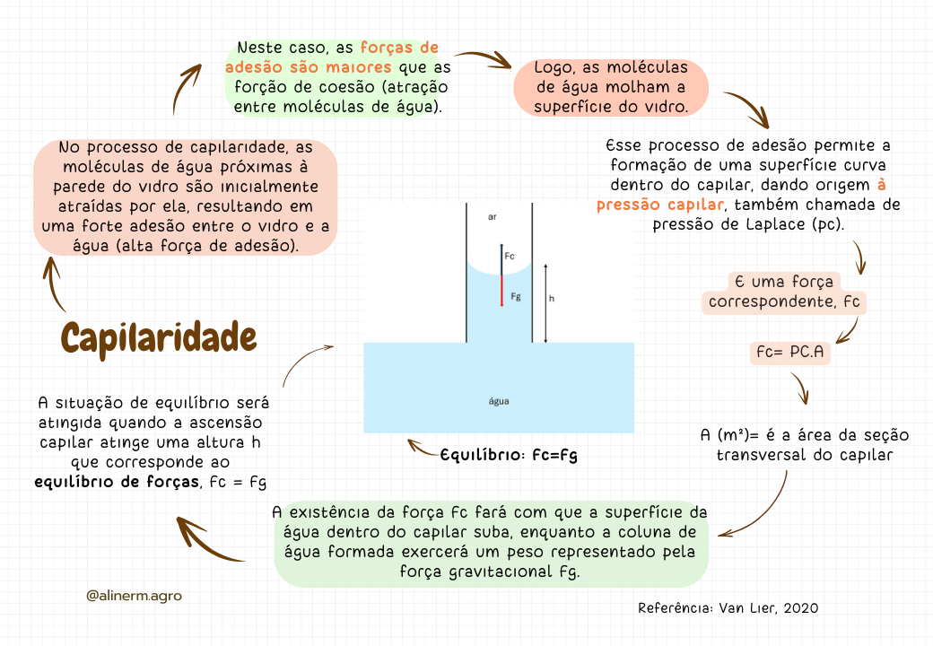 Potenciais de água no solo (7)