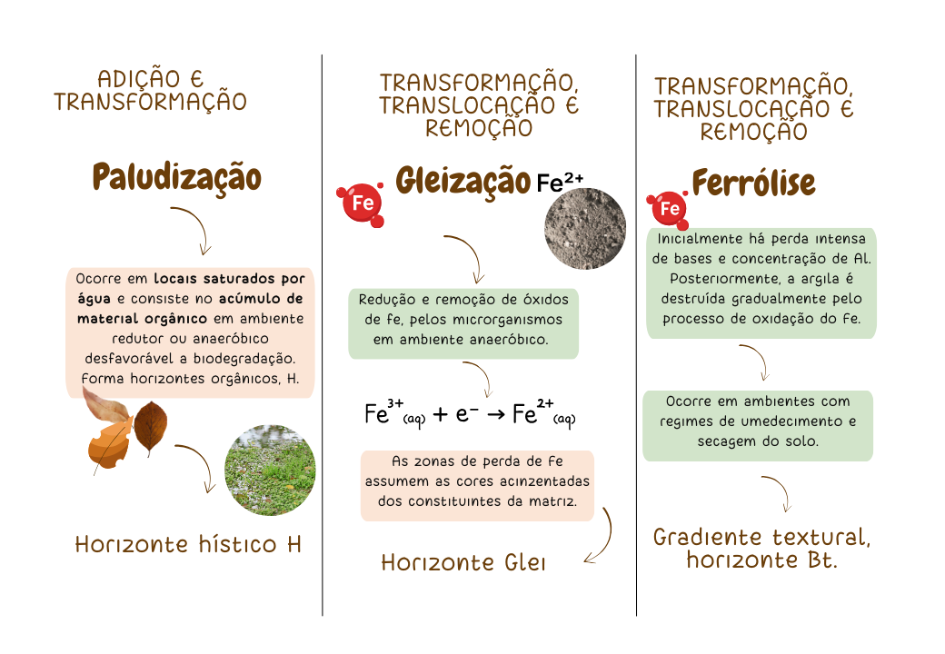 Processos pedogenéticos e classes de solos (1) (1)
