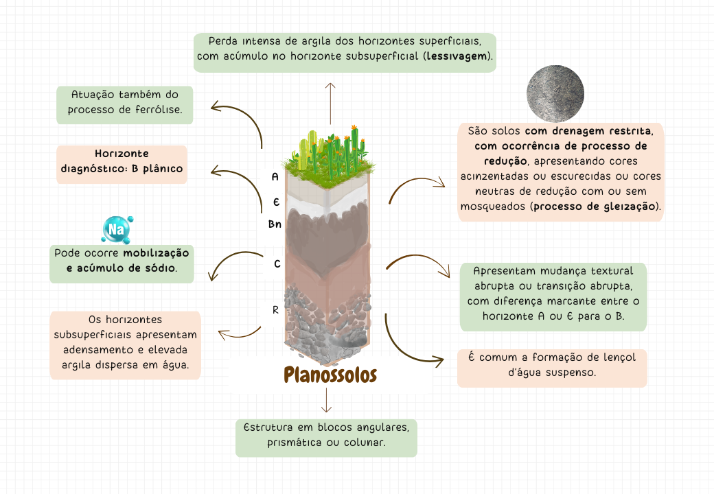 Processos pedogenéticos e classes de solos (2)
