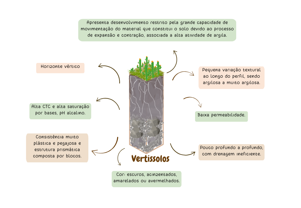 Processos pedogenéticos e classes de solos (3)