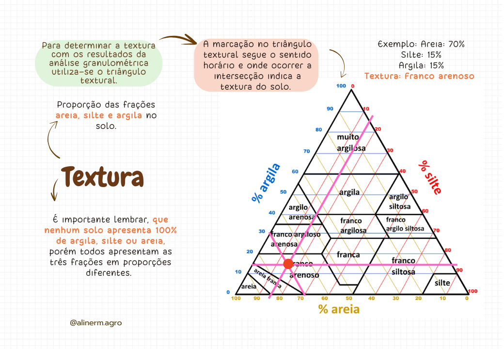 Propriedades físicas, químicas e morfológicas do solo (3)